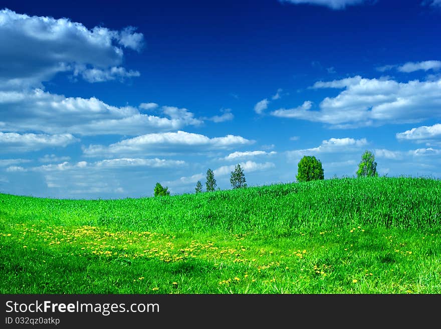 Green hill with yellow dandelions and trees with blue sky. Green hill with yellow dandelions and trees with blue sky