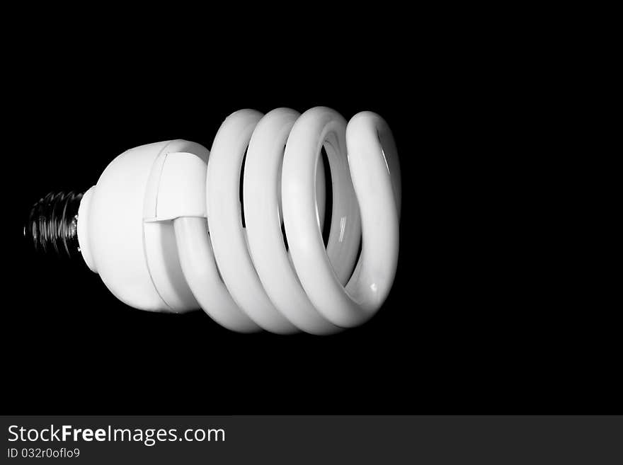 Compact Fluorescent Light Bulb