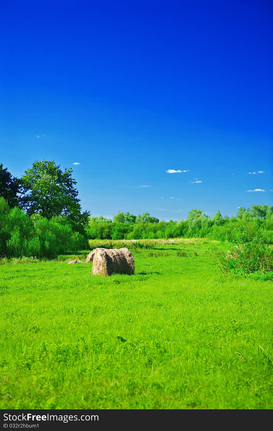 Rural green field
haystack bush and tree