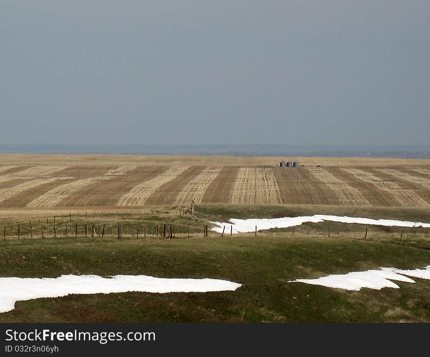 Photograph of landscape and wheat field in the early spring. Photograph of landscape and wheat field in the early spring.