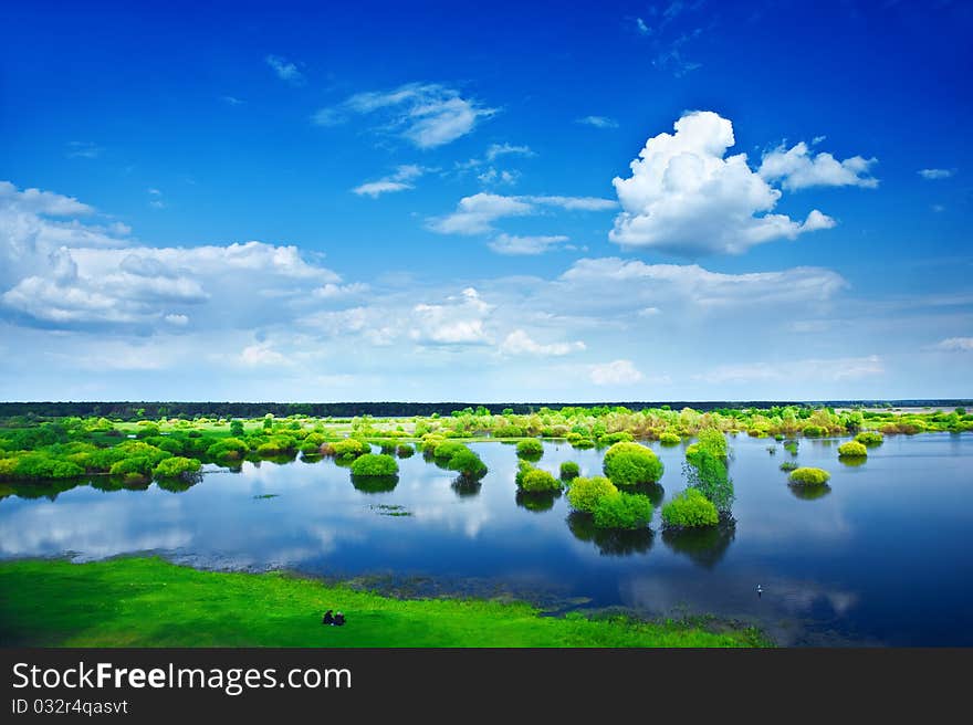 Close up view on the flooden field bushes grass forest horizont sky with sparce cumulus clouds. Close up view on the flooden field bushes grass forest horizont sky with sparce cumulus clouds