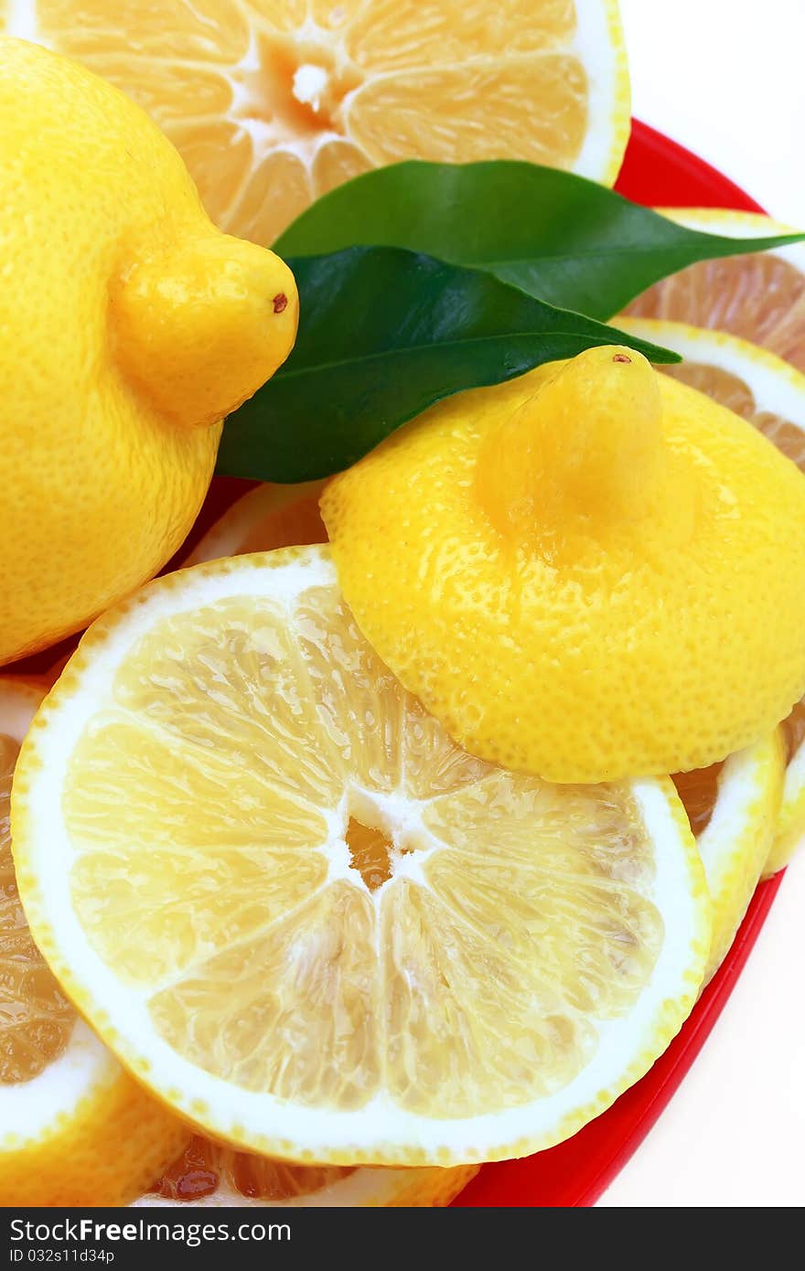 Lemon ripe fruit on a white background