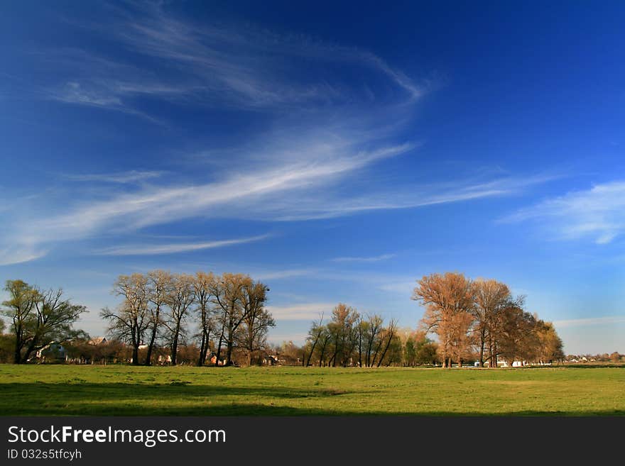 Morning At The Spring Field