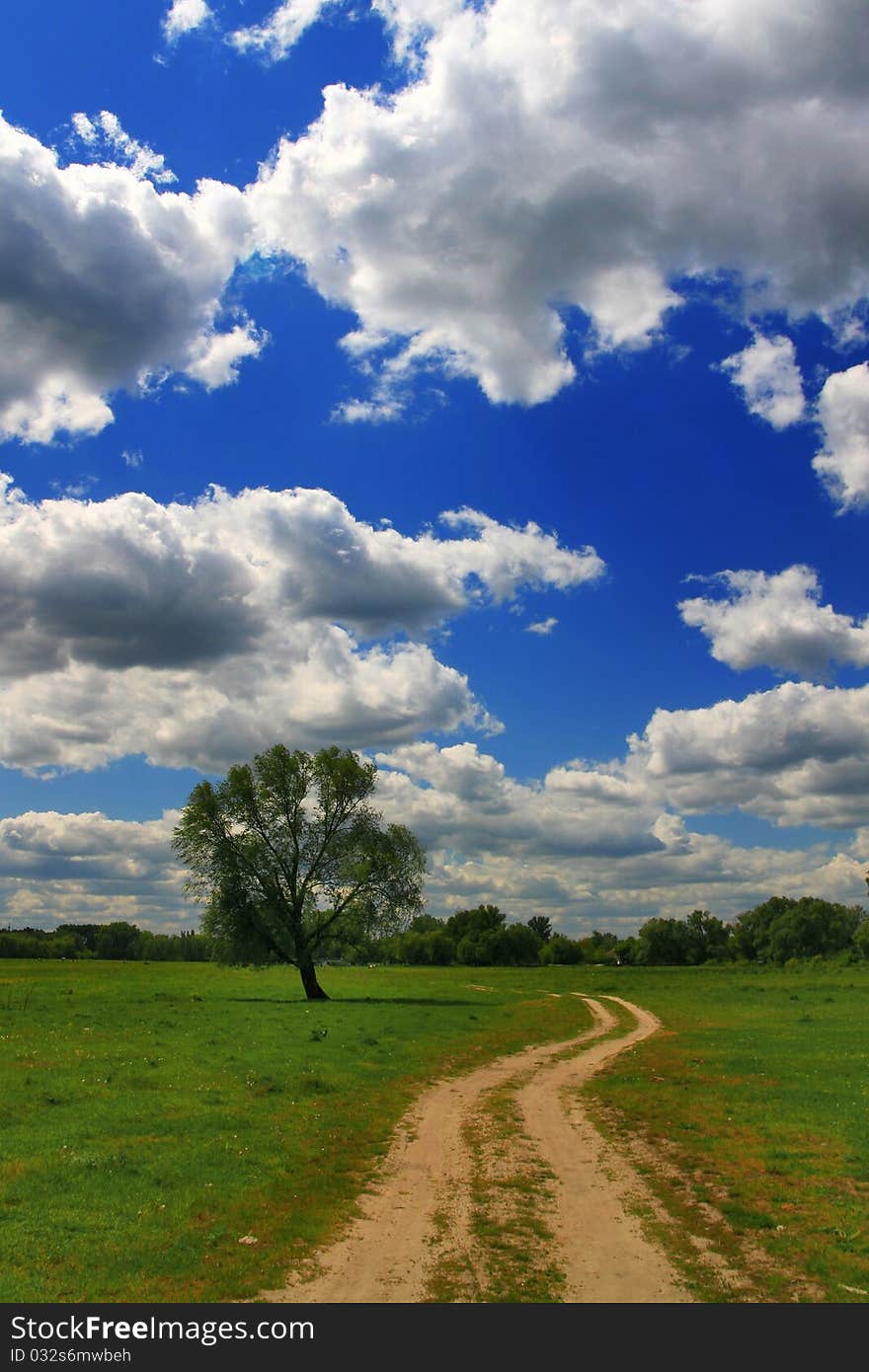 The Road In The Spring