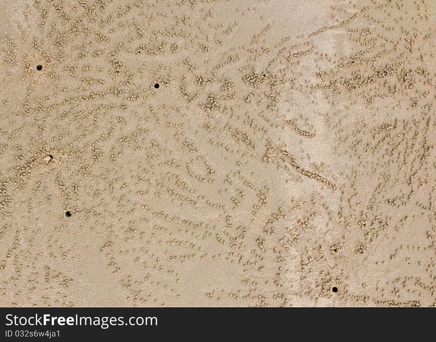 Burrow of crab in sand on the beach Thailand