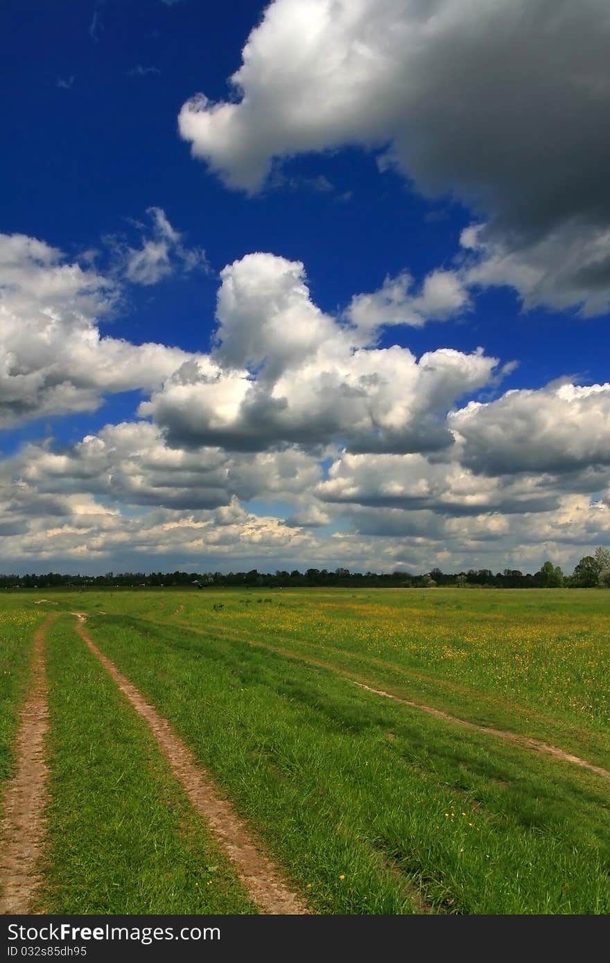 The Road In The Spring