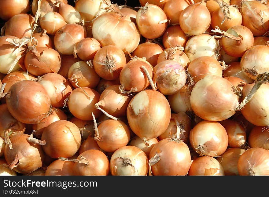 Background  of onions