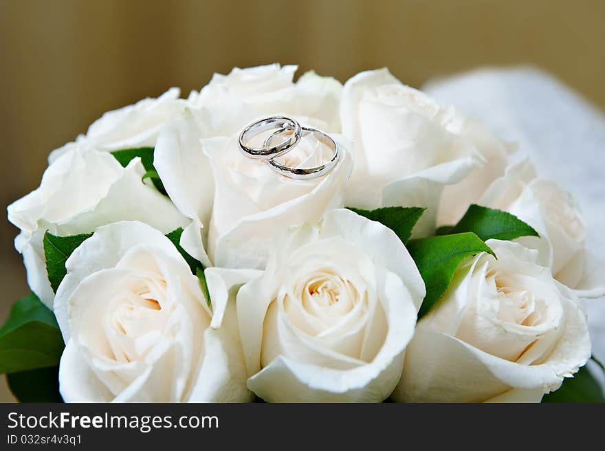 Gold wedding rings on the flower white rose