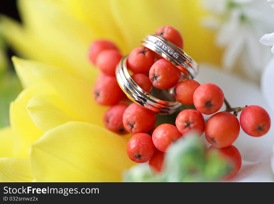 Wedding rings on the flowers