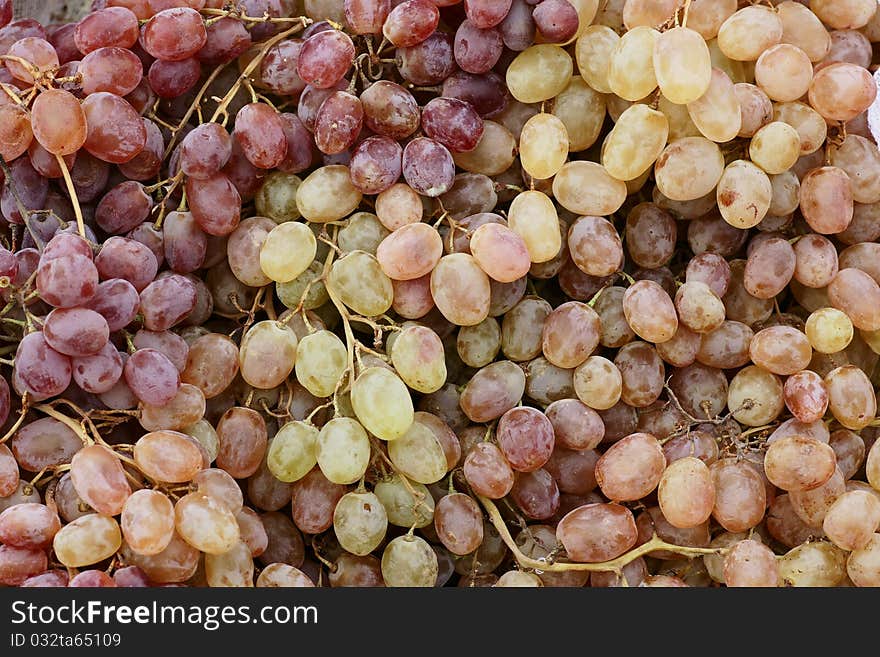 A Cluster Of Ripening Grapes