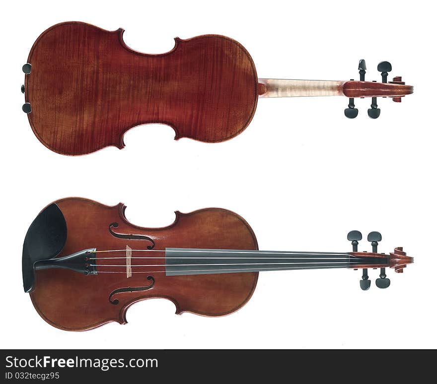 Violin