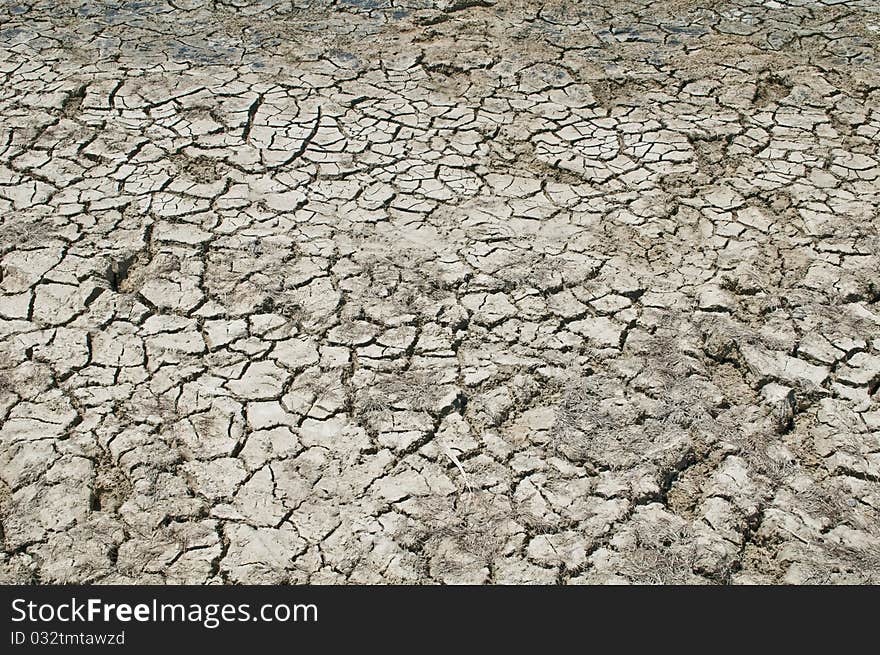 Sun baked mud on lake shore. Sun baked mud on lake shore