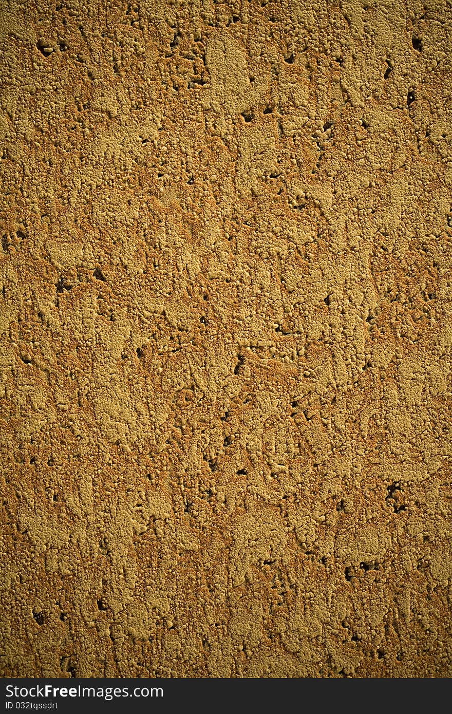 Studio shot high rezolution and quality image of corck tree texture. Studio shot high rezolution and quality image of corck tree texture