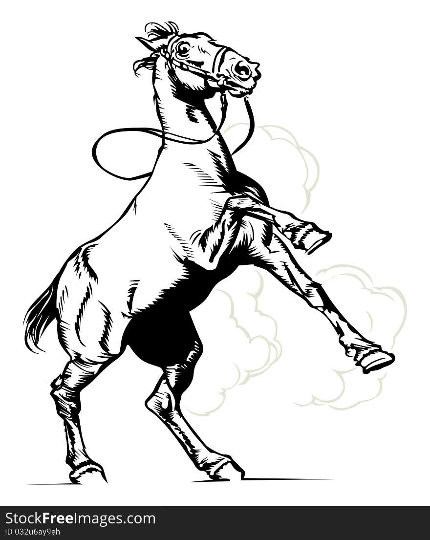 Horse sketch