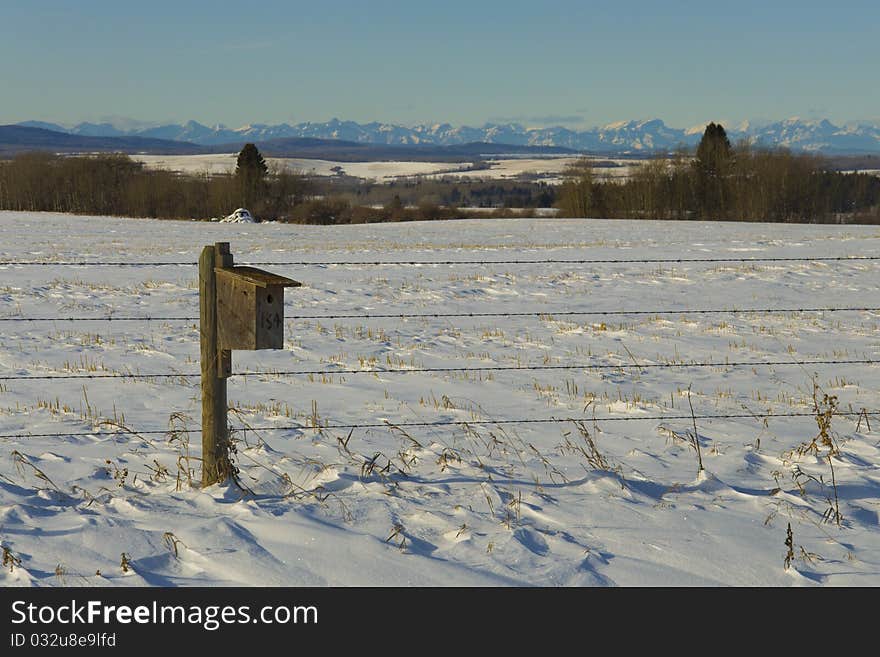 Bird House With View Of The Rocky Mountains