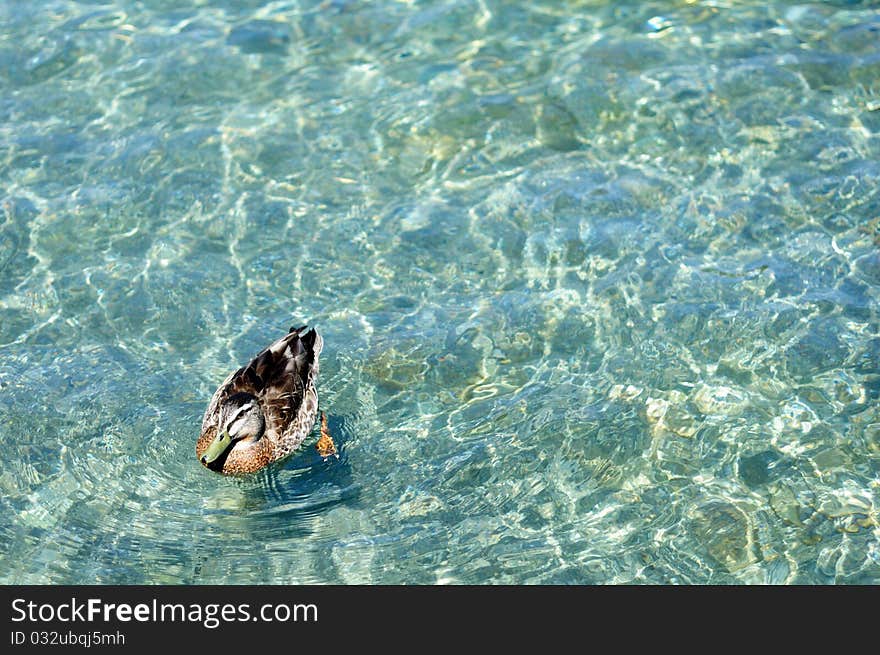 Lake Wakatipu, Queenstown, Otago,New Zealand. Lake Wakatipu, Queenstown, Otago,New Zealand