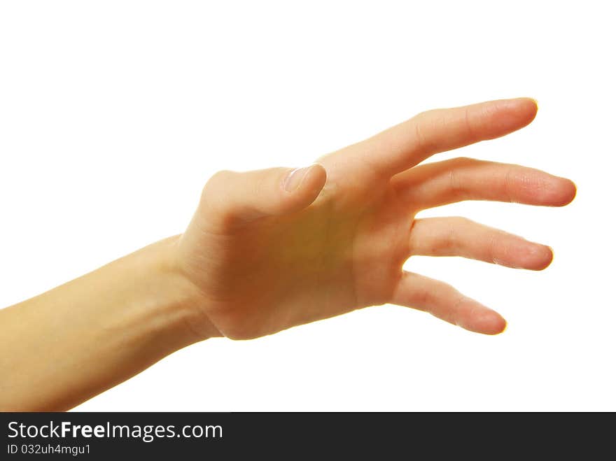 Open female hand isolated on a white background