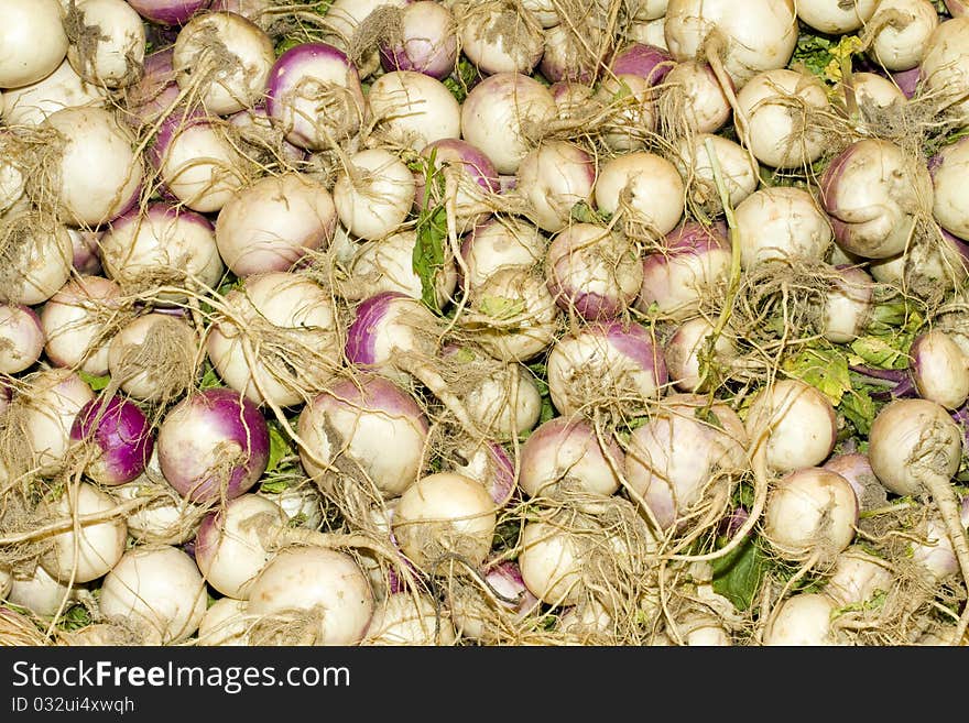 White turnips wholesale in a fruit market. White turnips wholesale in a fruit market