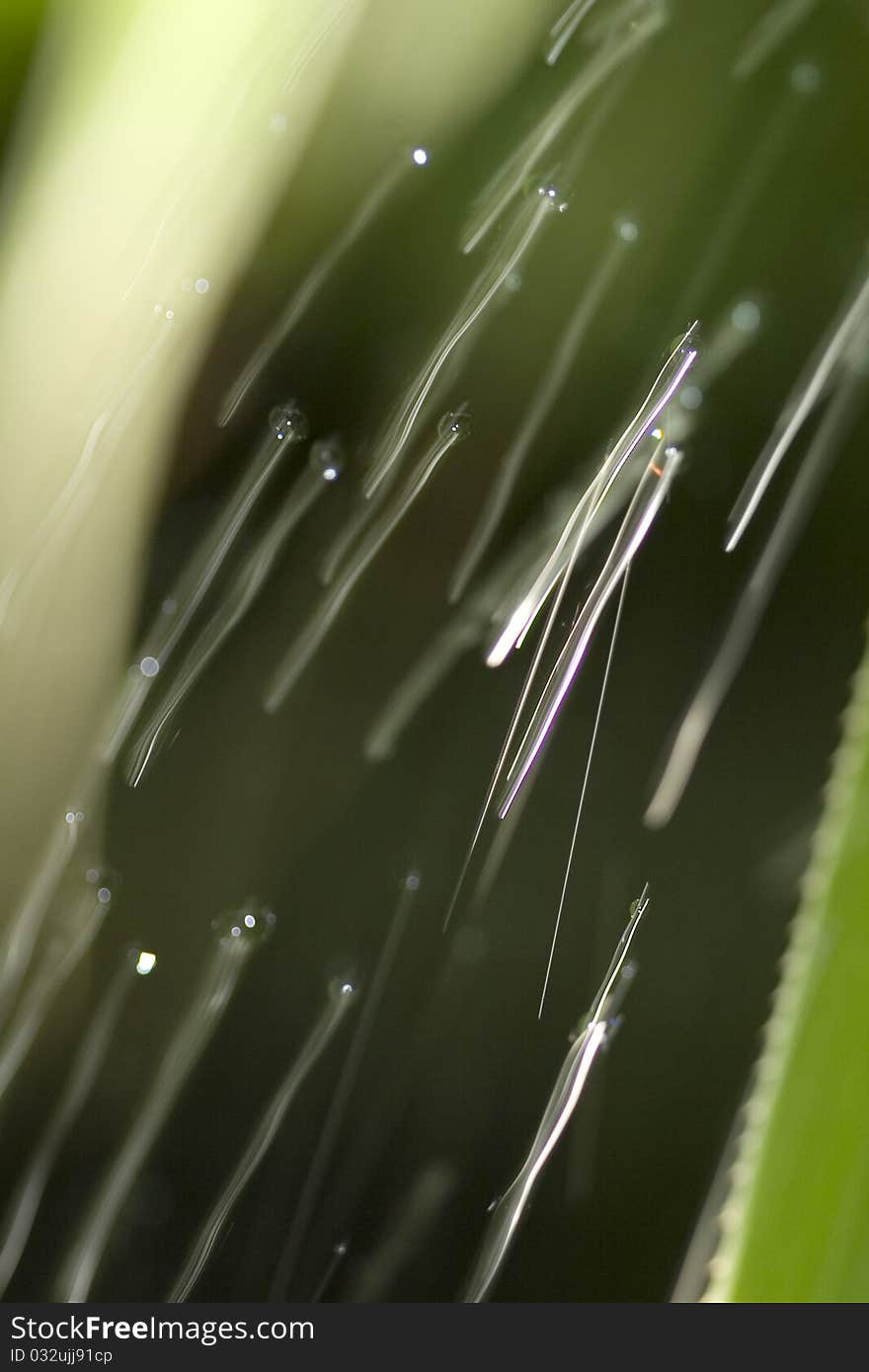 Close-up of drop of water.