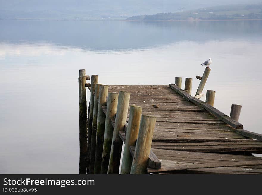 Old broken pier with seagull