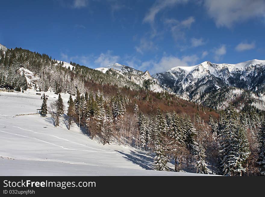 Winter Landscape