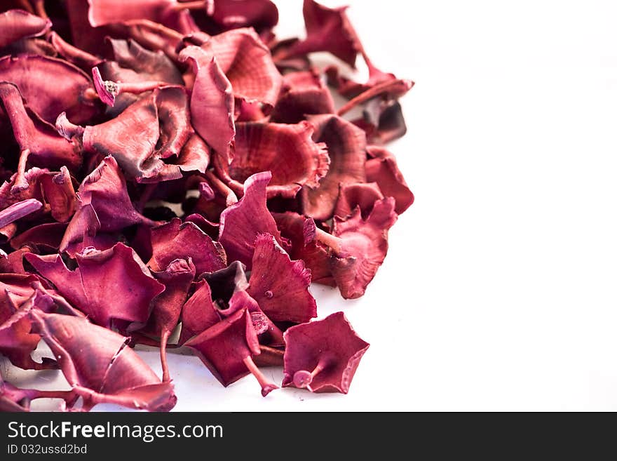 Christmas red, white and purple potpourri flowers on white background. Christmas red, white and purple potpourri flowers on white background