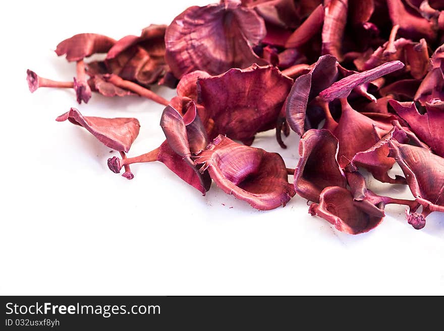 Christmas red, white and purple potpourri flowers on white background. Christmas red, white and purple potpourri flowers on white background