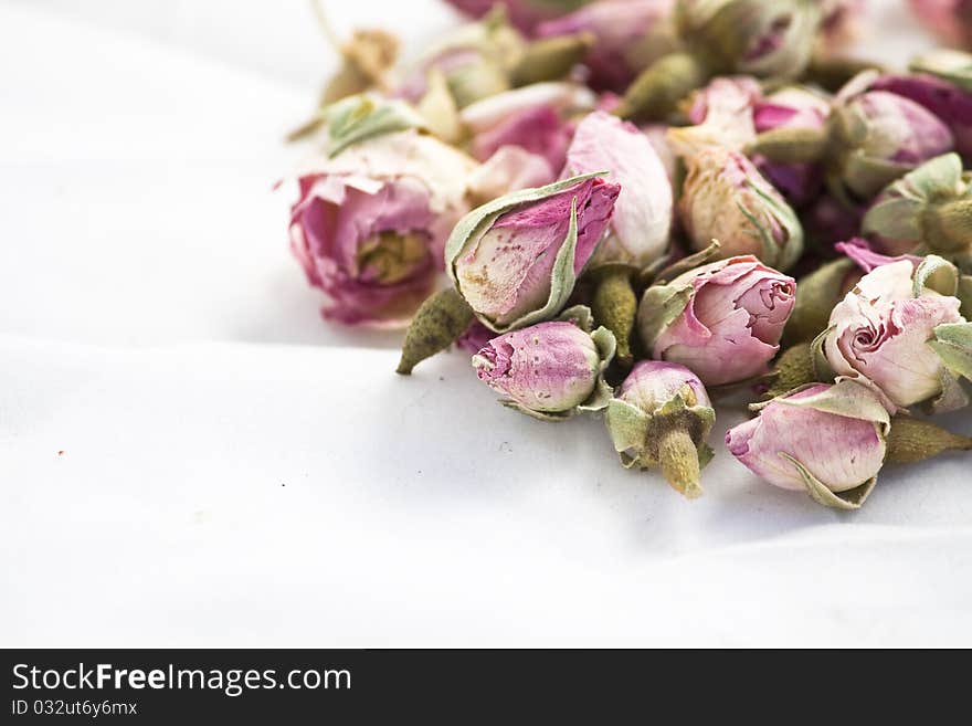 Roses Flowers On White Background