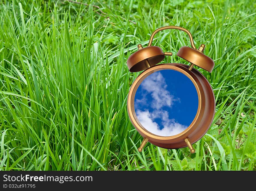 Watch the sky against a background of grass. Watch the sky against a background of grass