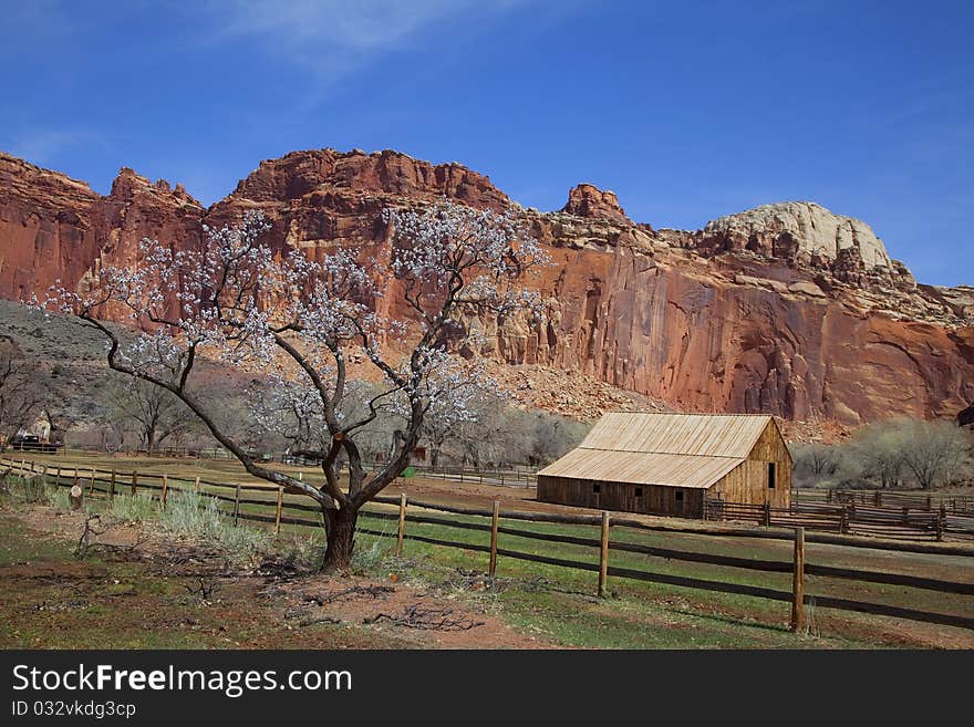 Capitol Reef National Park