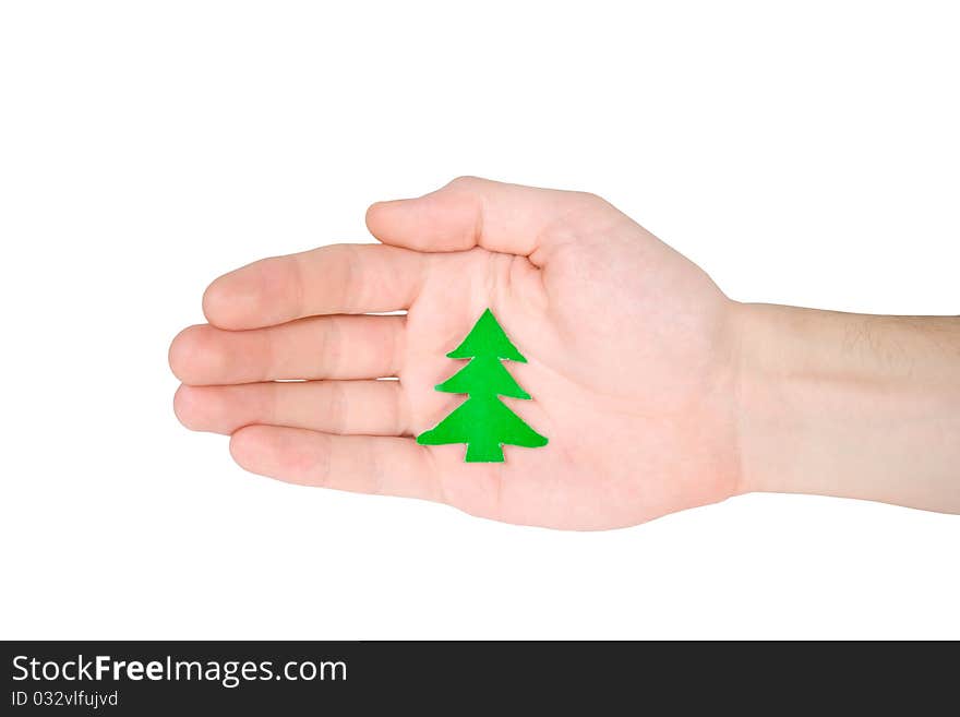 Christmas tree in hand isolated on white background