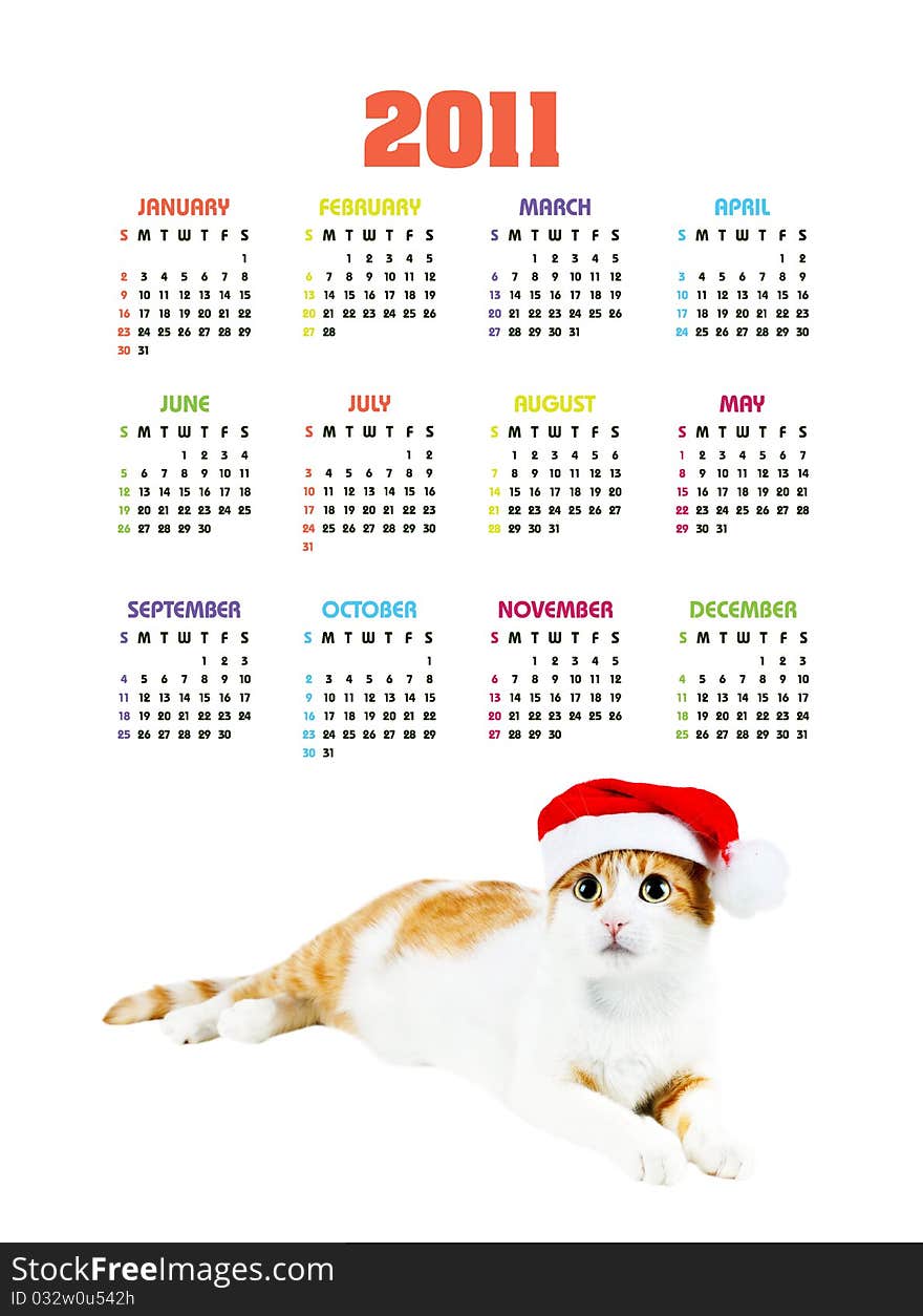 Vertical color calendar for 2011 year with cute red and white cat