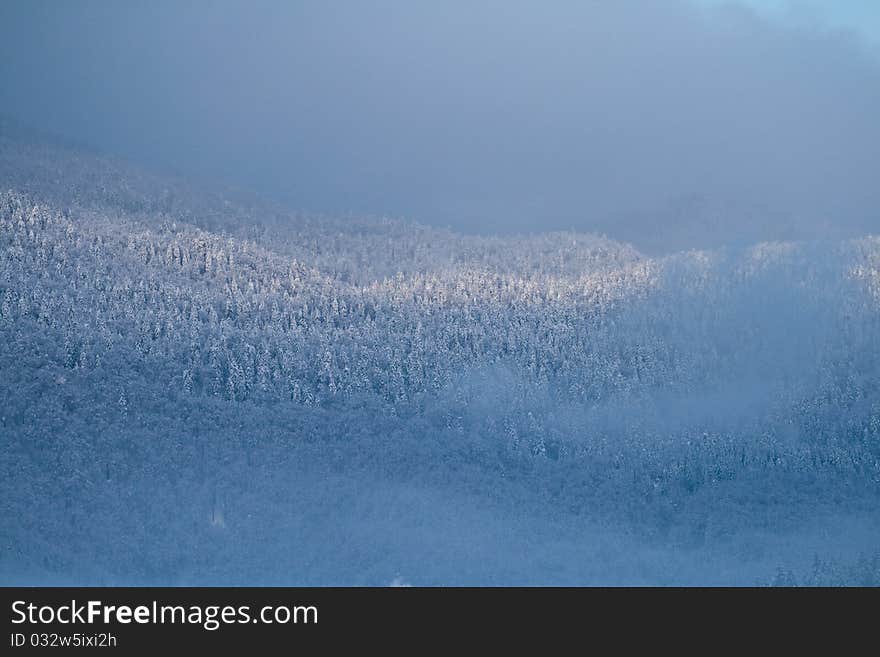 Hills in mist