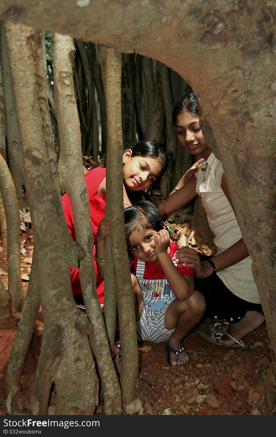 Three girls hidden behind roots of  banyan tree. Three girls hidden behind roots of  banyan tree