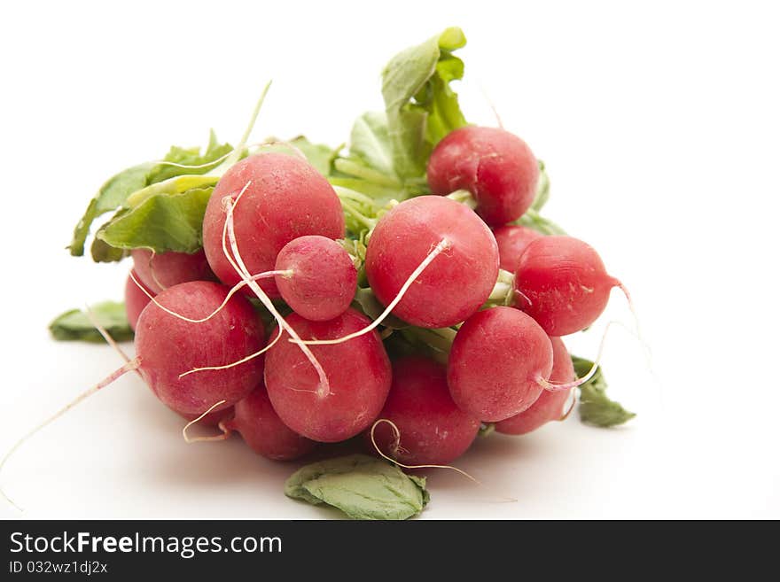 Refine radishes onto white background