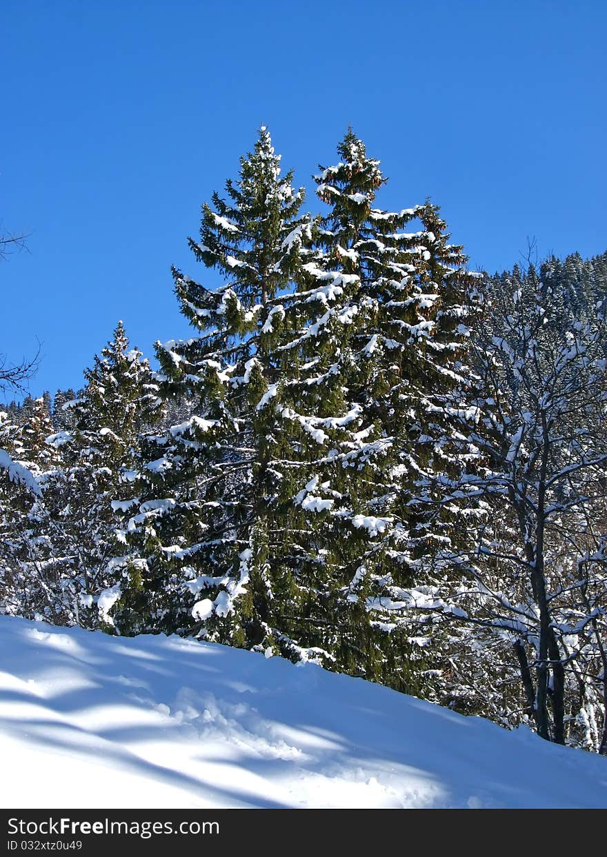 Winter mountain landscape in Switzerland