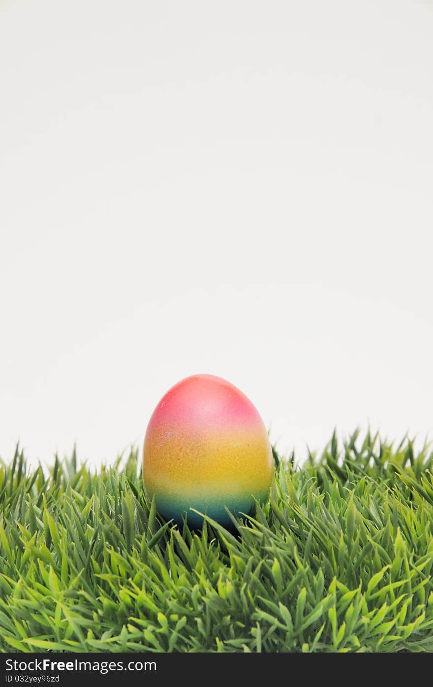 Coloured easter egg and grass