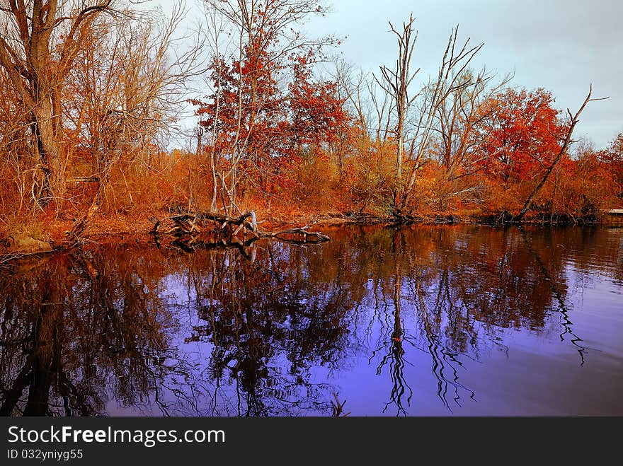 Fall Reflections in a Lake