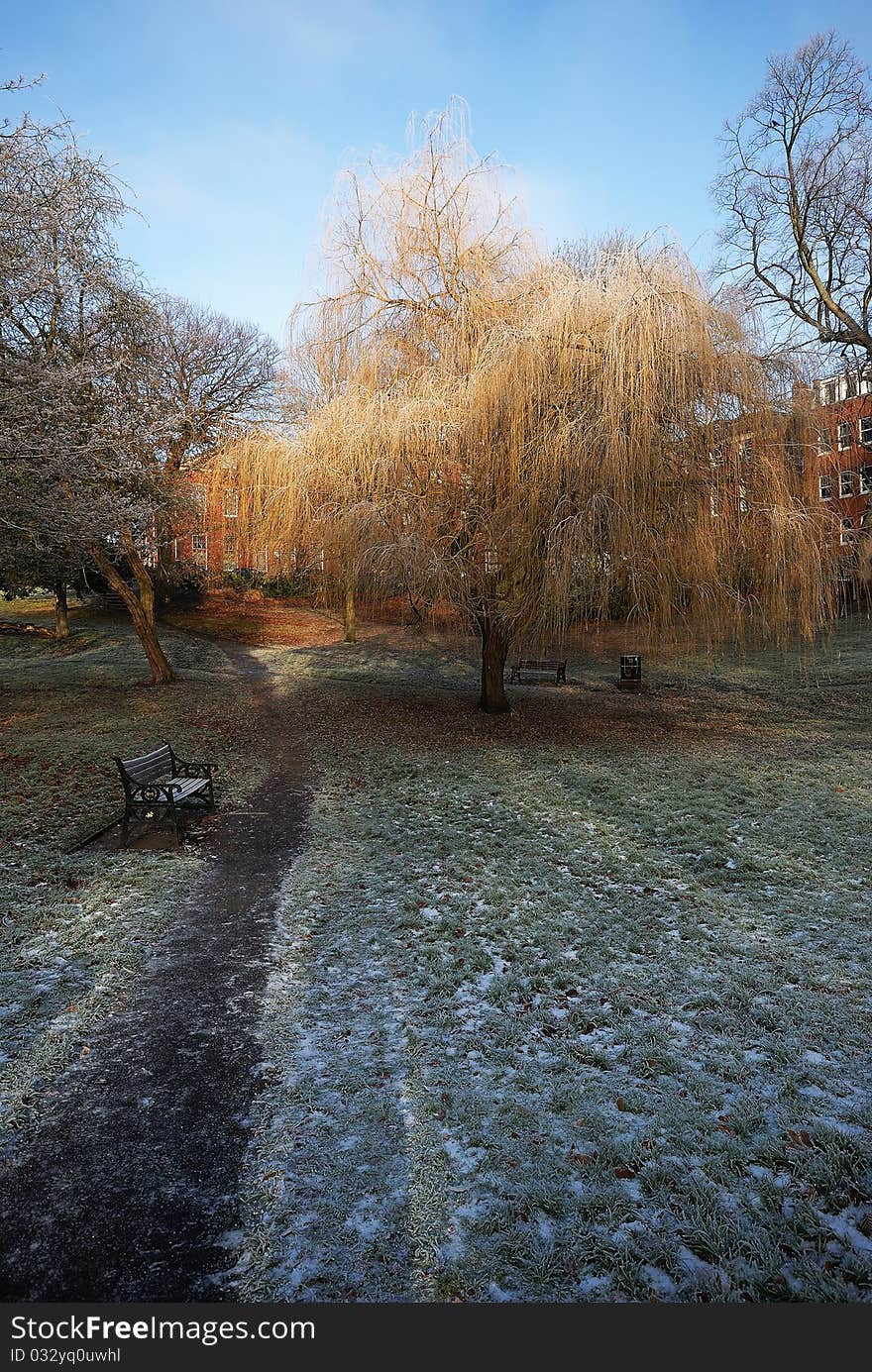 Winter Sun Creeping over Frozen Ground