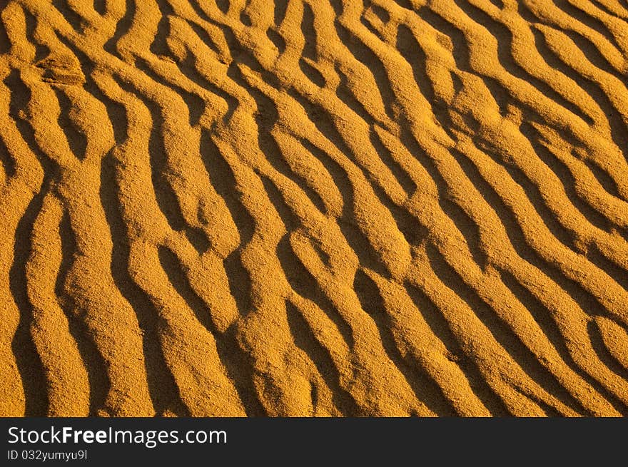 Ripples in sand from wind. Ripples in sand from wind