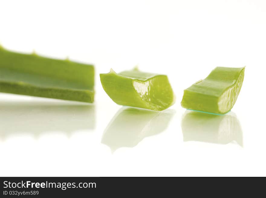 Aloe vera. shallow doff