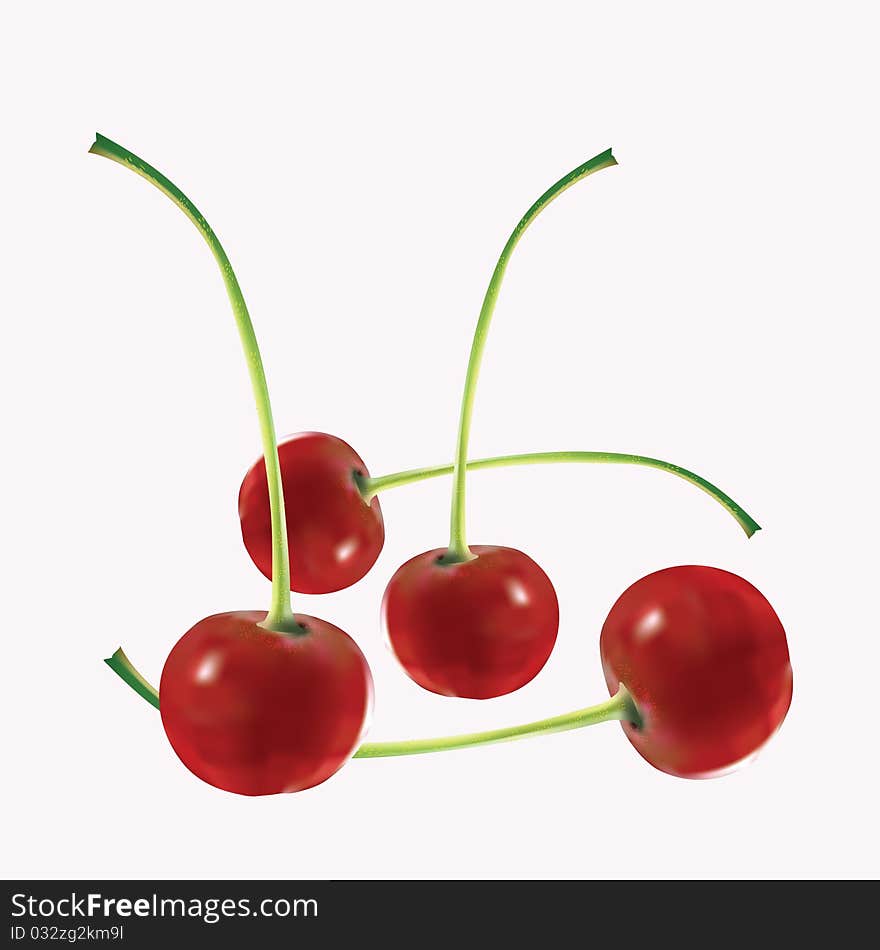 Four appetizing mature cherries on a pink background