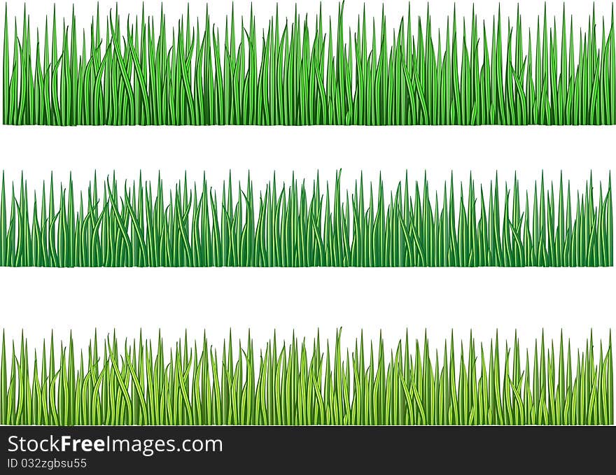 Green grass isolated on white