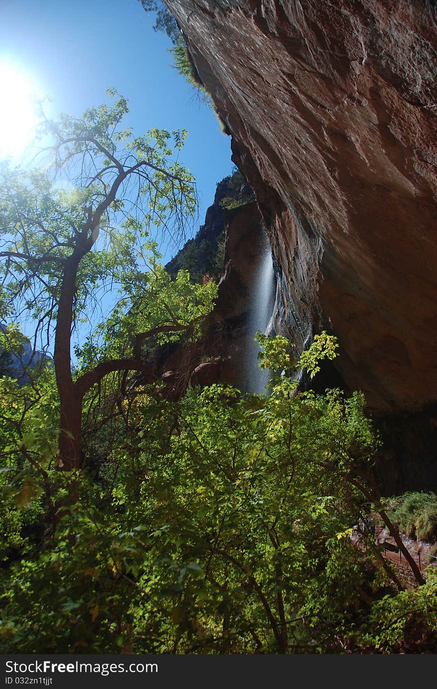 Zion national park landscape