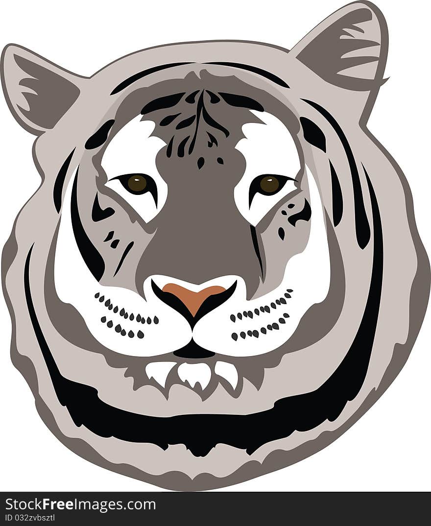 White bengal tiger