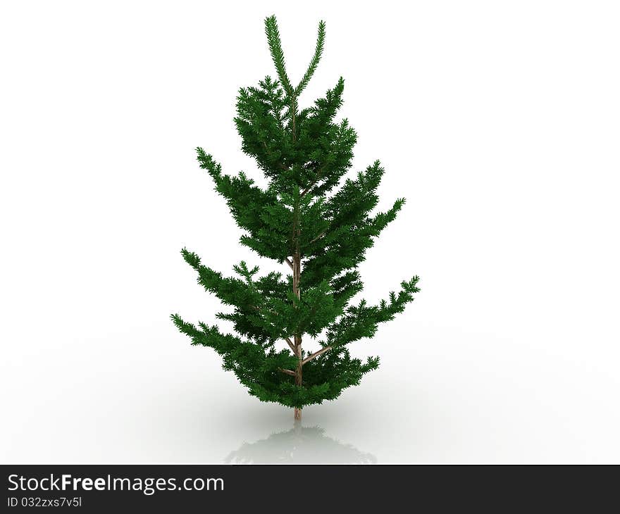 Big Christmas Tree â„–1