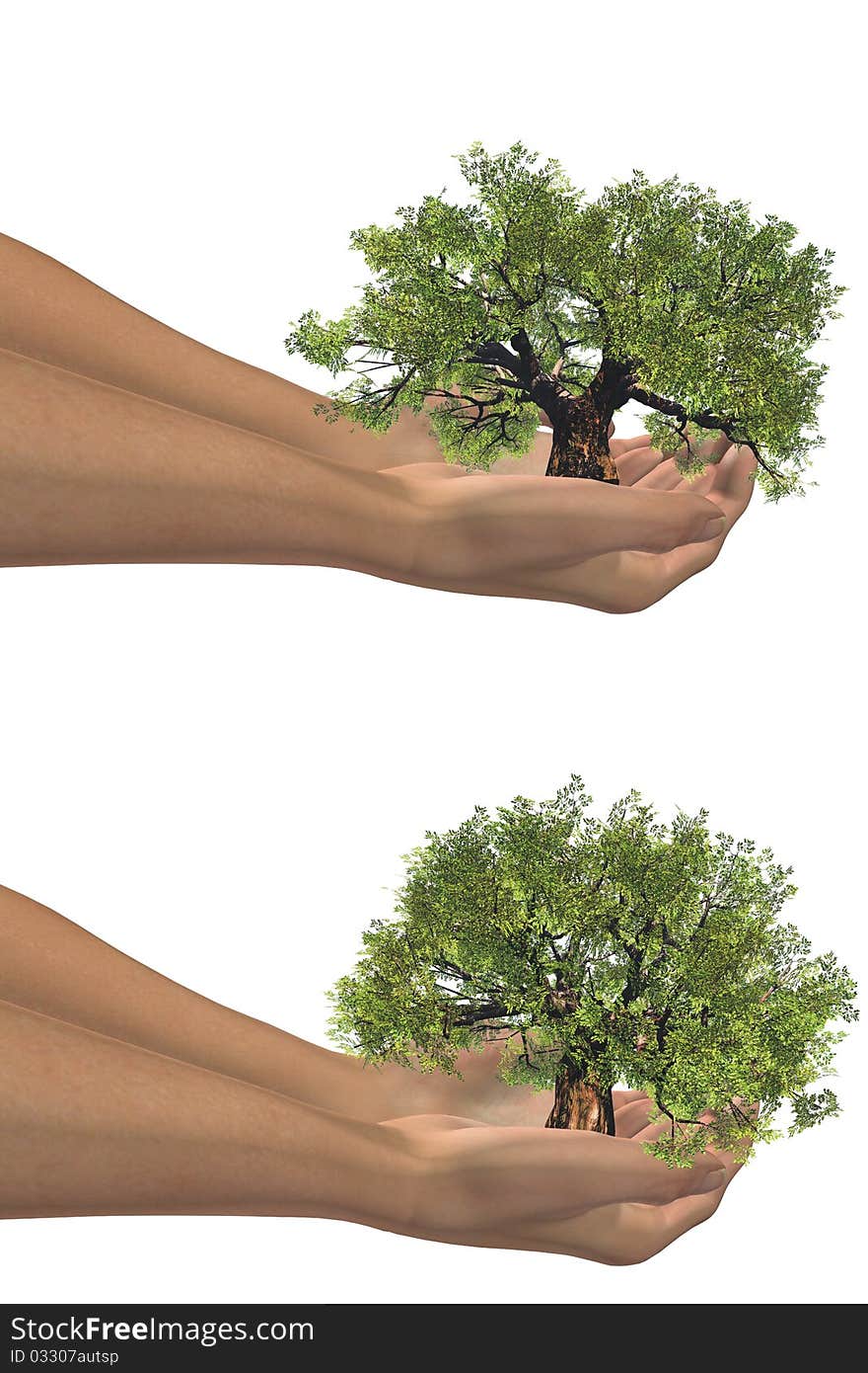 High resolution conceptual green tree held in hand