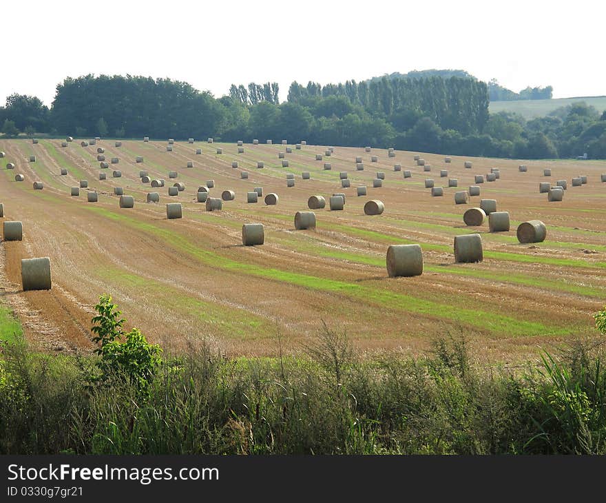 Straw Rolls Ind The Landscape