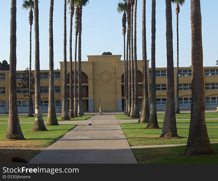 A shot of the Marine Depot's barracks where young men stay during boot camp. A shot of the Marine Depot's barracks where young men stay during boot camp.