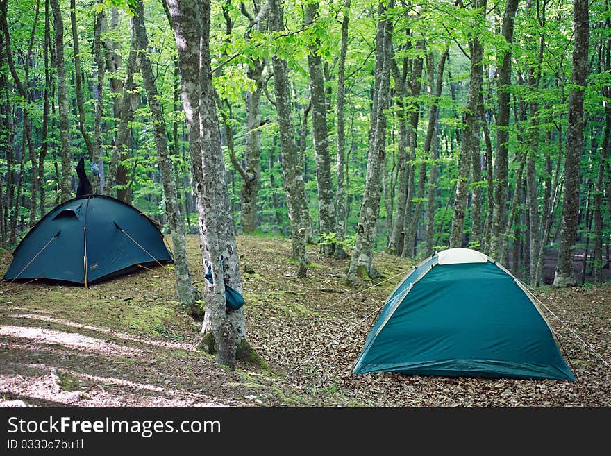 Tourist camp in forest